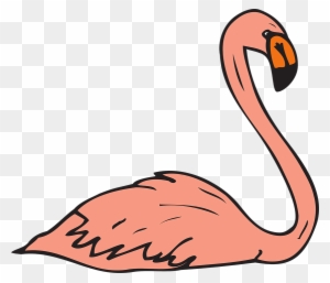 Pink Bird Swimming Wings Flamingo Long Neck - Flamingo Swimming Clipart