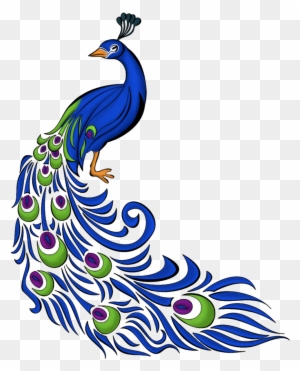 Image - Peacock Drawing With Colour - Free Transparent PNG Clipart Images Download Image - Peacock Drawing With Colour - Free Transparent PNG Clipart Images Download