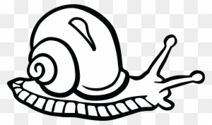 Free Clipart Of A Snail - Snail Black And White