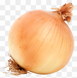 Onion Png Transparent Images - Baby At 17 Weeks