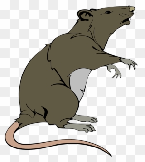 Laboratory White Rat Scientist Vector Cartoon Vector - Dead Rat Clip Art