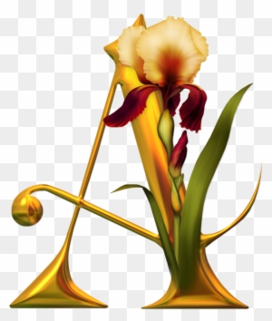 Flower Illuminated Letters