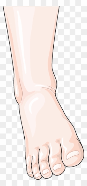 Download The Image - Sprained Ankle - Free Transparent PNG Clipart Images  Download