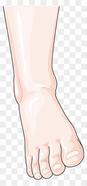 Download The Image - Sprained Ankle - Free Transparent PNG Clipart Images Download Download The Image - Sprained Ankle - Free Transparent PNG Clipart Images Download