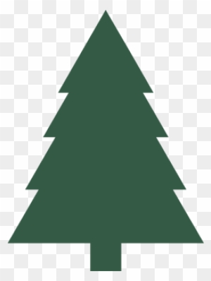 Recology San Mateo County Will Collect Holiday Trees - Christmas Day