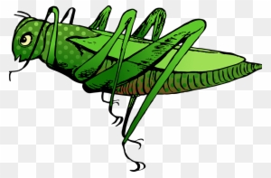 Grasshopper Cartoon 1, Buy Clip Art - ตั๊ ก เเ ตน การ์ตูน