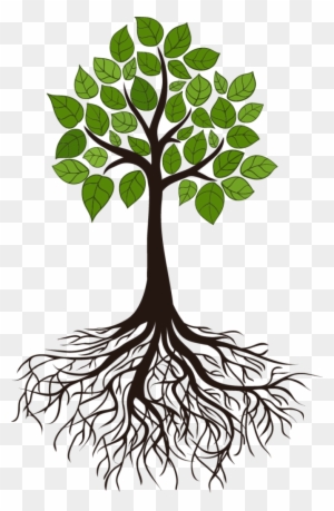 Tree Root Branch Clip Art - Transparent Tree Of Life Roots