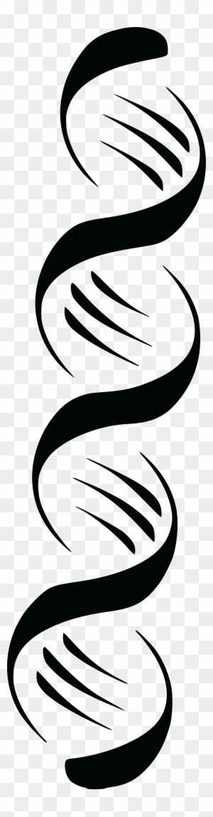 Dna Helix Clipart Transparent Png Clipart Images Free Download Clipartmax
