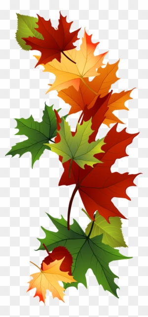 Leaf Fall Leaves Clip Art Beautiful Autumn Clipart - Vermont-laub-tasse Tasse