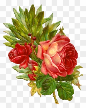 This Is An Amazingly Beautiful Digital Flower Graphic - Digital Rose Flower
