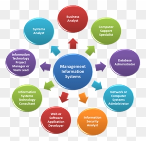 Management Information System Consultancy - Career Growth In Bpo