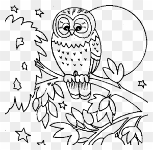 Free Printable Coloring Pages Of Owls - Owls Coloring Pages Printable
