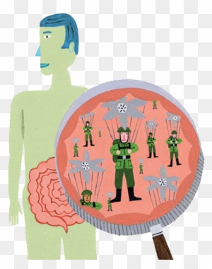 Illustration Of A Man With His Intestines Magnified - Illustration
