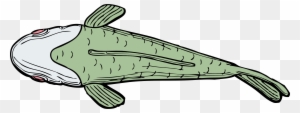 Cartoon Catfish Pictures 8, Buy Clip Art - Top Of A Fish