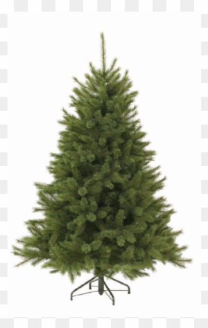 Triumph Tree Forest Frosted Pine - Christmas Tree Without Lights