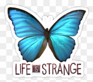 Life Is Strange Butterfly By Queenhannahh - Life Is Strange Limited Edition (xbox One)