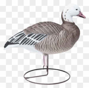 Free Free 317 Snow Goose Svg SVG PNG EPS DXF File