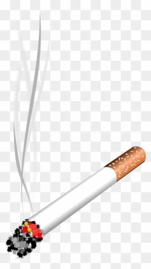 cigarette smoke and dogs The severe dangers of smoking around your dog
