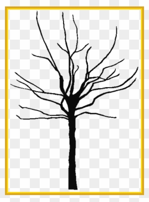 Unbelievable Bare Tree Clipart Large Projects To Try - Tree Outline Png