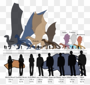 D D Dragon Size His Majesty S Dragon Temeraire Free Transparent Png Clipart Images Download