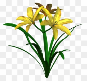 Free High Resolution Graphics And Clip Art - Dwarf Day Lily