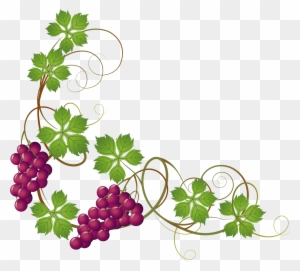 Common Grape Vine Grape Leaves Clip Art - Grape Vine Transparent Background