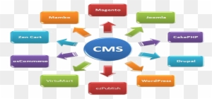 Cms Website Development Company