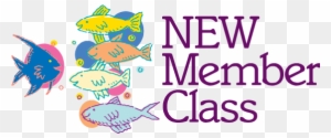 New Member Class - New Member Class Church