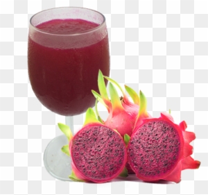 Red Dragon Fruit Puree And Iqf - Eternally Herbal Dragonfruit 10:1 Extract Powder 50g