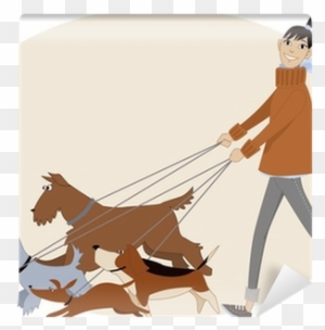 Young Woman Walking A Bunch Of Dogs Wall Mural • Pixers® - Dog Walking Business Ideas