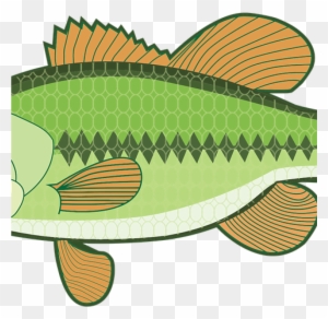 Bass Fish Clipart Animal Bass Fish Free Vector Graphic - Largemouth Bass Clipart