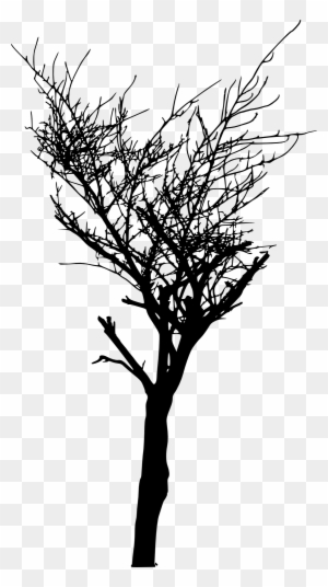 Free Download - Bare Tree Silhouette Transparent