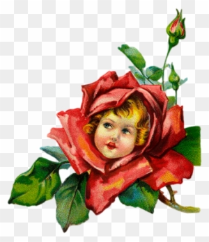 Arana Альбом «clipart / Clipart5 / Vintage Illustrations» - Rose Flower With A Face
