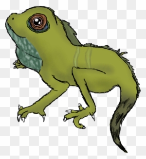 Drawn Water Dragon Cartoon - Chinese Water Dragon Drawing