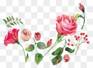 Watercolor Painting Flower Rose Royalty-free - Watercolor Flowers Vector Free Download