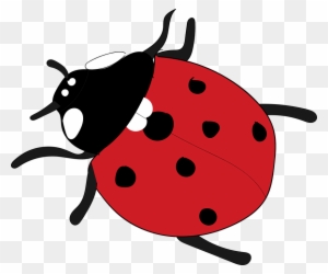 Baby Ladybug Cliparts 15, Buy Clip Art - Rojo Animal