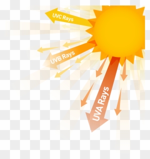 5 Simple Ways To Protect Your Eyes From Sun Exposure - Sun And Uv Rays - Free Transparent PNG Clipart Images Download 5 Simple Ways To Protect Your Eyes From Sun Exposure - Sun And Uv Rays - Free Transparent PNG Clipart Images Download