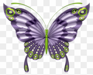 Butterflies°• - ‿✿⁀ - Butterfly Beautiful Art