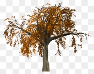 Fall Trees Clipart 21, - Red Flower Tree Png