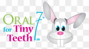 In A Nutshell - Looking After Your Teeth