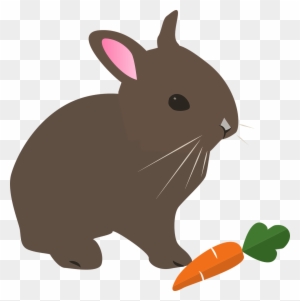 Hare Rabbit Easter Animal Pet Png Image - Animal Rabbit Cartoon