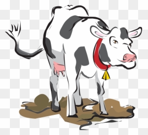 Cattle Livestock Calf Milk - Cattle Livestock Calf Milk - Free ...
