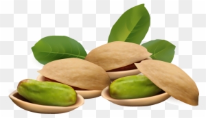 Other Popular Clip Arts - Pistachio Clipart