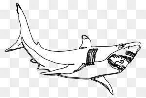 Largemouth Bass Fish Clip Art - Shark Clipart Black And White