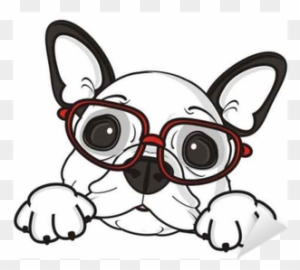 Glasses, Dog, French, Bulldog, Breed, Background, White, - Bulldog Puppies Clipart