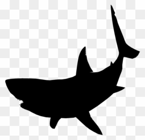 Baby Shark Clipart Transparent Png Clipart Images Free Download Clipartmax Baby Shark Clipart Transparent Png Clipart Images Free Download Clipartmax