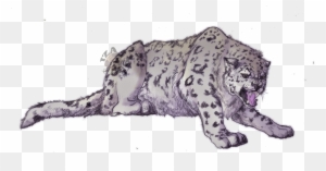 Snow Leopard Drawing Ultra HD Desktop Background Wallpaper for : Tablet :  Smartphone