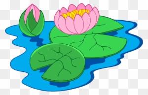 Nymphaea Alba Clip Art - Water Lily Plant Clipart