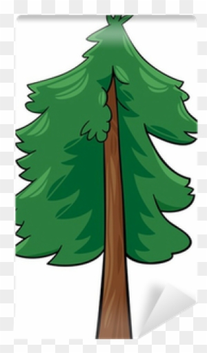 Cartoon Illustration Of Conifer Tree Wall Mural • Pixers® - Cartoon Pine Tree