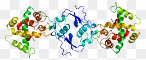 Cysteine Rich Secretory Protein Structure Journal